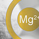 Mg2+ tehnologija